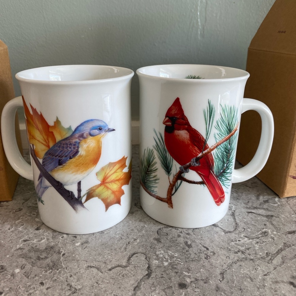 Nature's Songbird Ceramic Mugs - Set of 2 National Geographic in Original Boxes